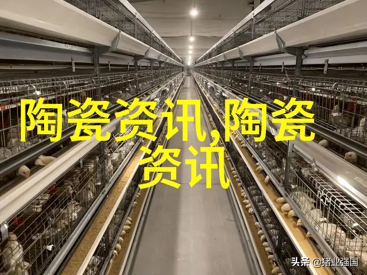 景德镇优化外汇服务 助力陶瓷行业复工复产